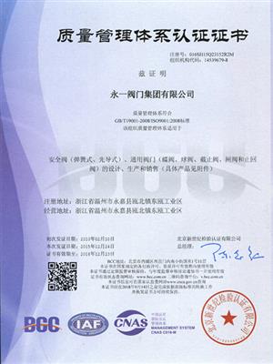 ISO9001-2000質(zhì)量管理體系