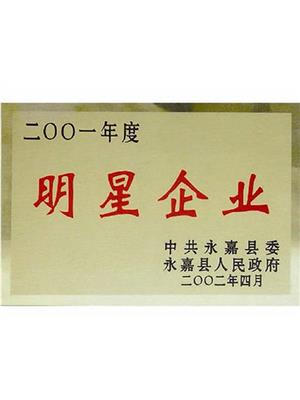 明星企業(yè)