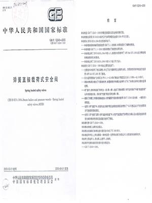 彈簧直接載荷式安全閥