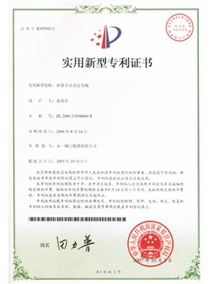 彈簧全啟式安全閥